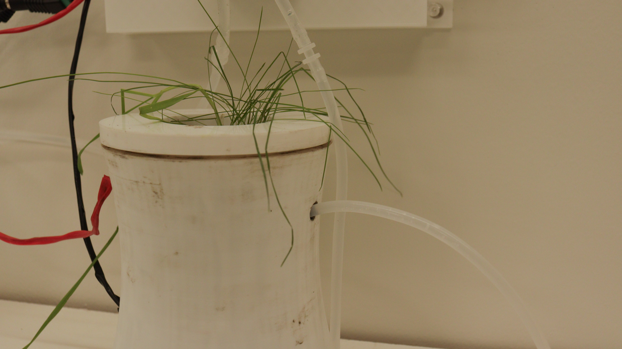 microbial fuel cell close up